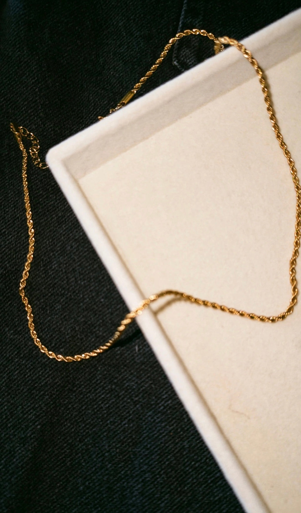 Sunkissed Dainty Rope Stainless Steel Necklace